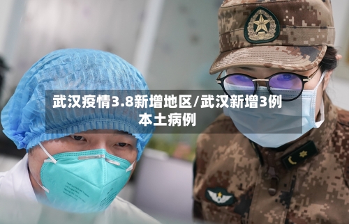 武汉疫情3.8新增地区/武汉新增3例本土病例