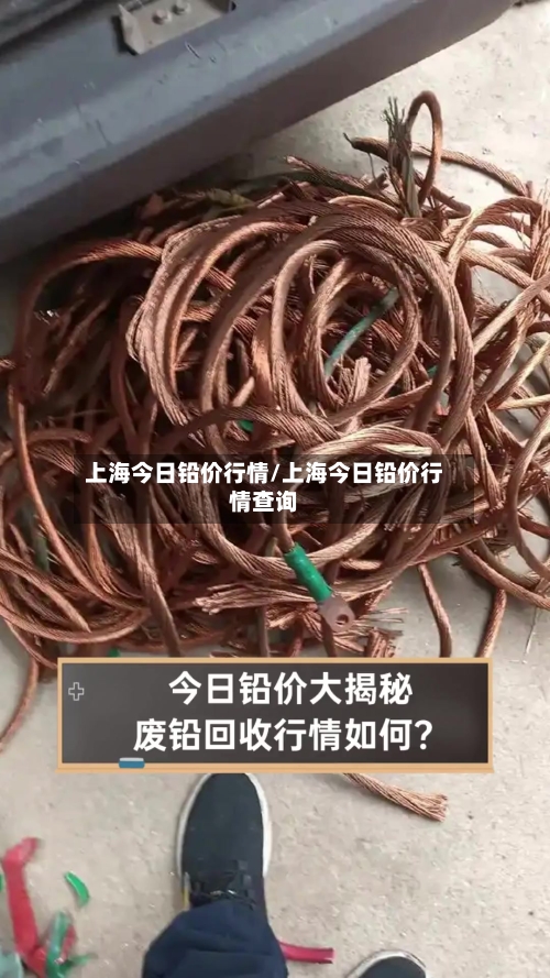 上海今日铅价行情/上海今日铅价行情查询-第2张图片