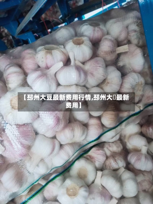 【邳州大豆最新费用行情,邳州大祘最新费用】