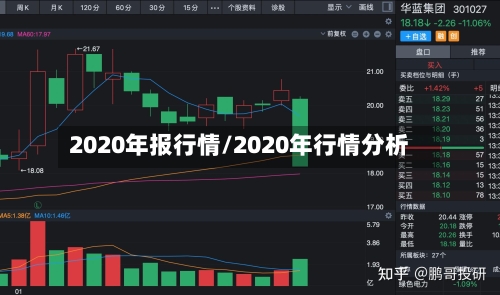 2020年报行情/2020年行情分析-第2张图片