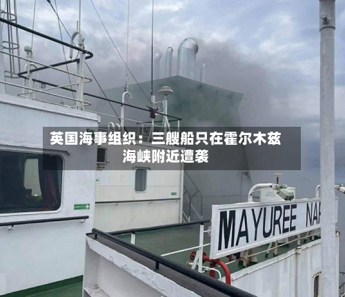 英国海事组织：三艘船只在霍尔木兹海峡附近遭袭