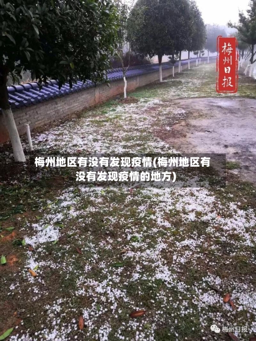梅州地区有没有发现疫情(梅州地区有没有发现疫情的地方)