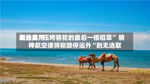 燃油费用飙升成“压垮骆驼的最后一根稻草” 精神航空律师称除停运外“别无选取”