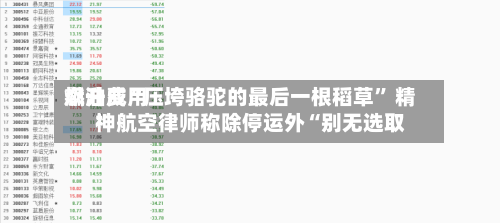 燃油费用飙升成“压垮骆驼的最后一根稻草” 精神航空律师称除停运外“别无选取	”-第2张图片