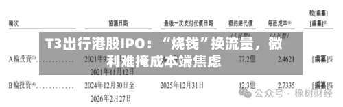 T3出行港股IPO：“烧钱”换流量	，微利难掩成本端焦虑-第2张图片