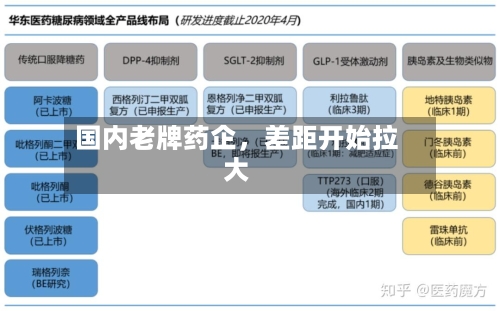 国内老牌药企，差距开始拉大-第2张图片