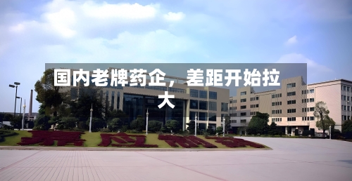 国内老牌药企	，差距开始拉大-第3张图片