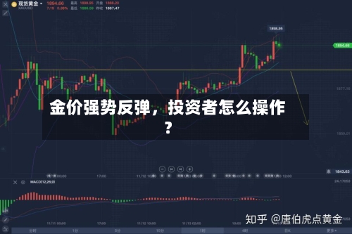 金价强势反弹	，投资者怎么操作？-第2张图片