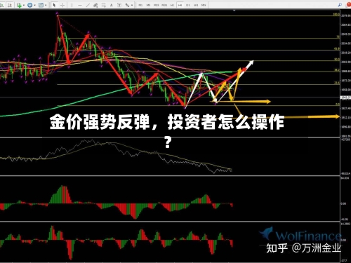 金价强势反弹，投资者怎么操作？-第3张图片
