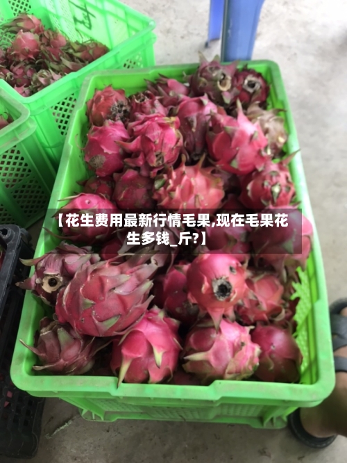 【花生费用最新行情毛果,现在毛果花生多钱_斤?】-第3张图片