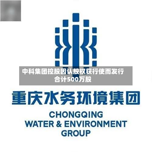 中科集团控股因认股权获行使而发行合计500万股