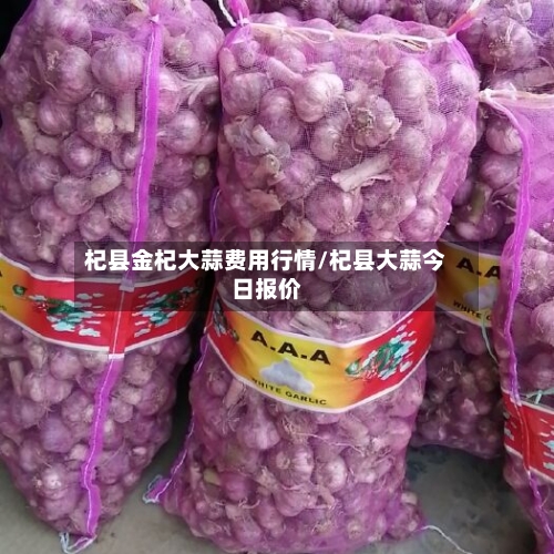 杞县金杞大蒜费用行情/杞县大蒜今日报价