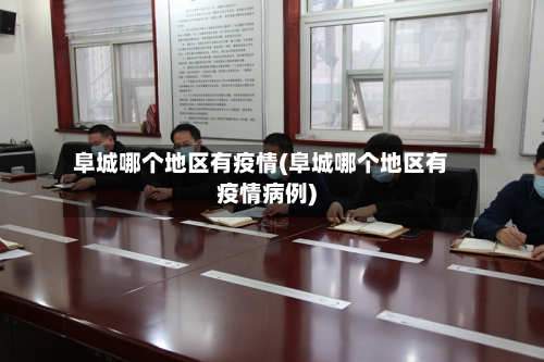 阜城哪个地区有疫情(阜城哪个地区有疫情病例)-第2张图片