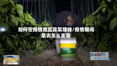 如何在疫情地区卖菜赚钱/疫情期间菜农怎么卖菜