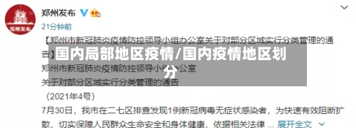 国内局部地区疫情/国内疫情地区划分