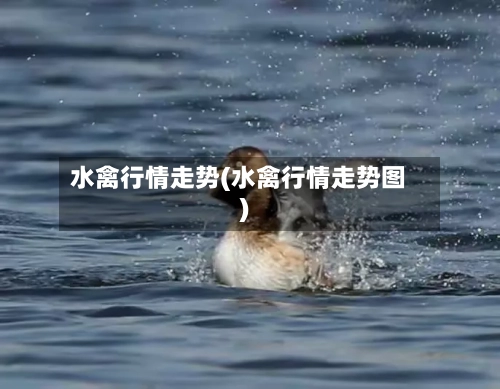 水禽行情走势(水禽行情走势图)-第2张图片