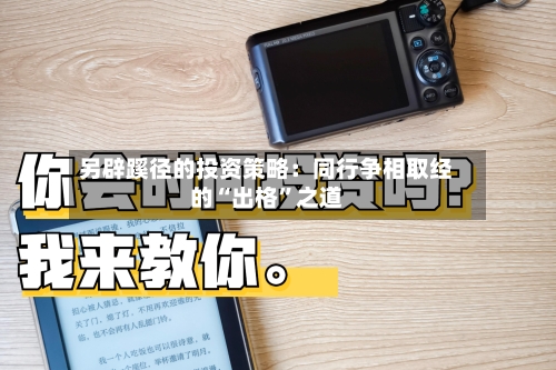 另辟蹊径的投资策略：同行争相取经的“出格”之道