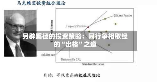 另辟蹊径的投资策略：同行争相取经的“出格”之道-第2张图片