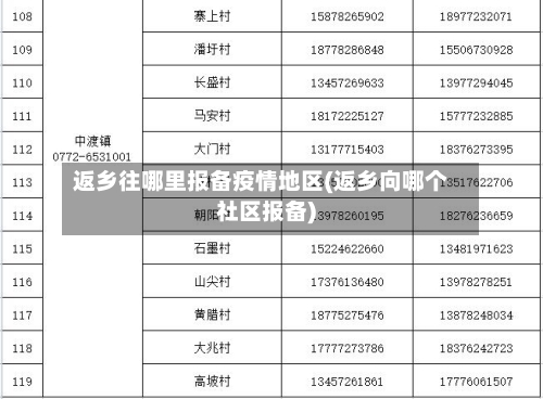 返乡往哪里报备疫情地区(返乡向哪个社区报备)-第2张图片