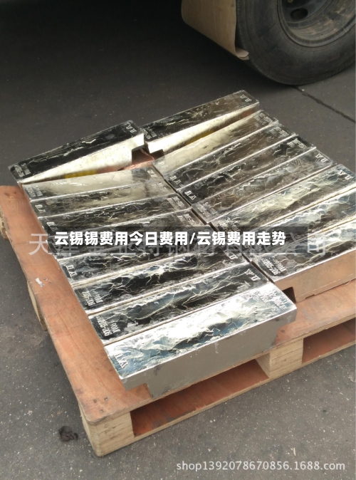 云锡锡费用今日费用/云锡费用走势-第3张图片