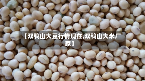 【双鸭山大豆行情现在,双鸭山大米厂家】-第2张图片