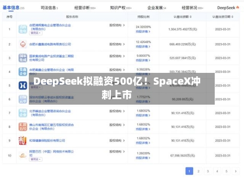 DeepSeek拟融资500亿！SpaceX冲刺上市-第2张图片