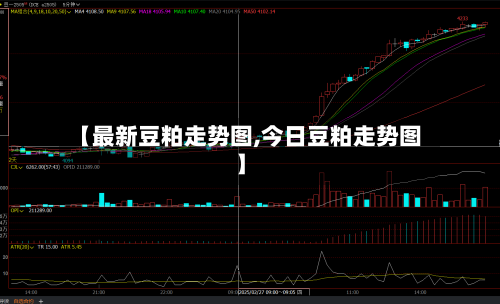 【最新豆粕走势图,今日豆粕走势图】-第2张图片