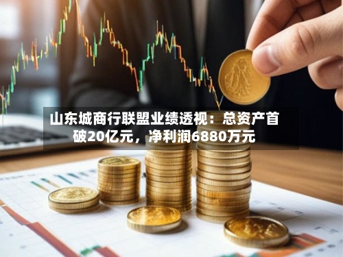 山东城商行联盟业绩透视：总资产首破20亿元	，净利润6880万元-第2张图片