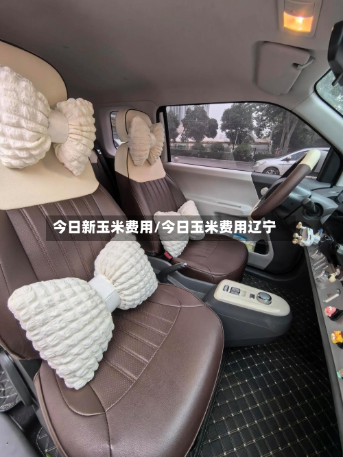今日新玉米费用/今日玉米费用辽宁