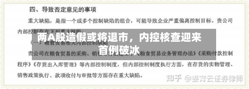 两A股造假或将退市，内控核查迎来首例破冰-第2张图片