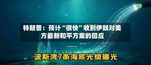 特朗普：预计“很快”收到伊朗对美方最新和平方案的回应-第3张图片
