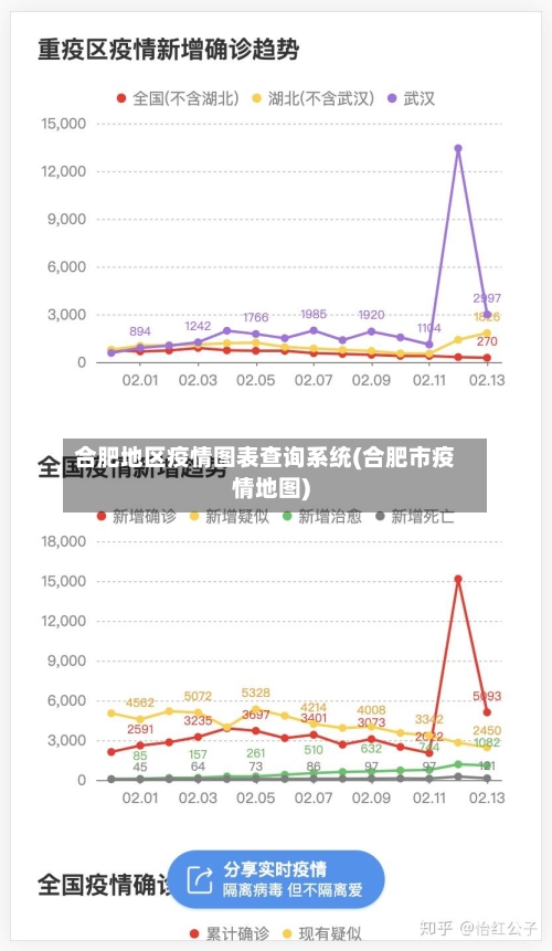 合肥地区疫情图表查询系统(合肥市疫情地图)