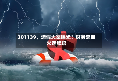 301139，造假大案曝光！财务总监火速辞职-第2张图片