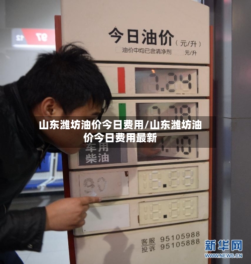 山东潍坊油价今日费用/山东潍坊油价今日费用最新-第2张图片