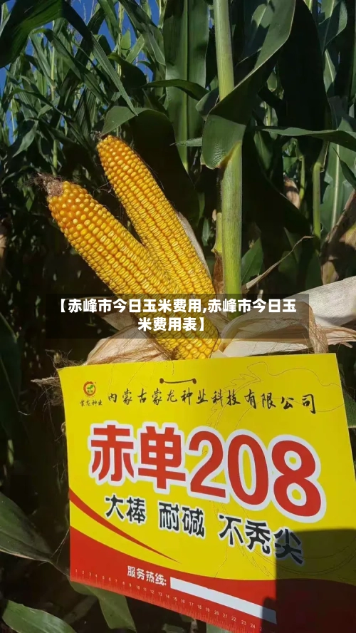 【赤峰市今日玉米费用,赤峰市今日玉米费用表】
