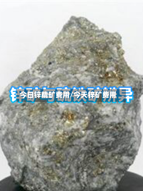 今日锌精矿费用/今天锌矿费用