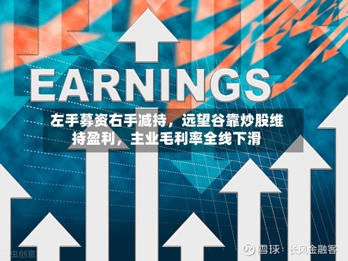 左手募资右手减持，远望谷靠炒股维持盈利，主业毛利率全线下滑