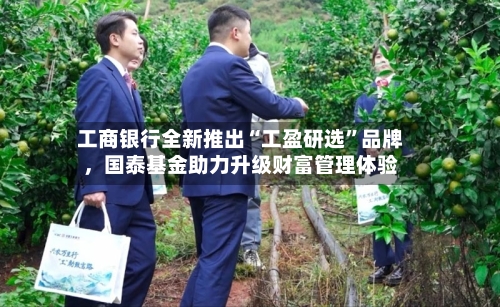 工商银行全新推出“工盈研选”品牌，国泰基金助力升级财富管理体验-第3张图片