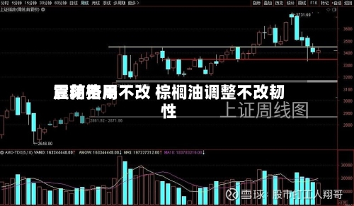 豆粕费用震荡格局不改 棕榈油调整不改韧性-第2张图片