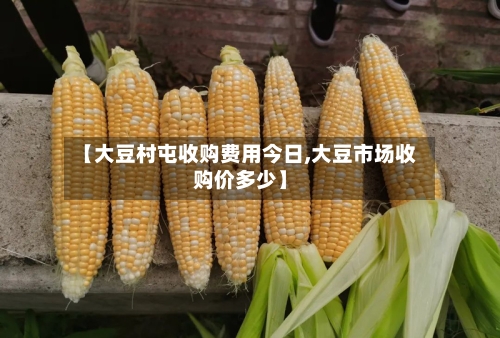 【大豆村屯收购费用今日,大豆市场收购价多少】-第2张图片