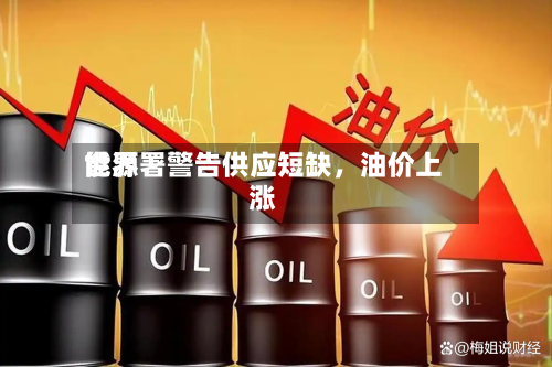 世界能源署警告供应短缺，油价上涨-第2张图片