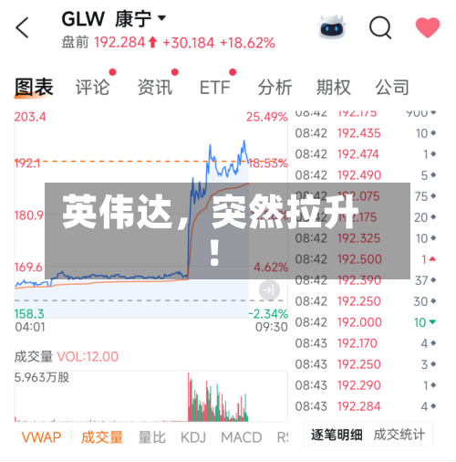 英伟达，突然拉升！-第2张图片