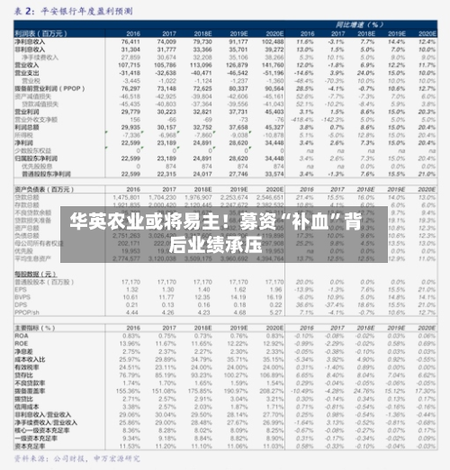 华英农业或将易主！募资“补血”背后业绩承压-第2张图片