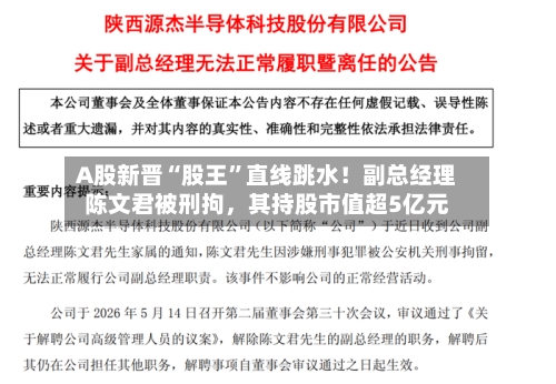 A股新晋“股王”直线跳水！副总经理陈文君被刑拘，其持股市值超5亿元