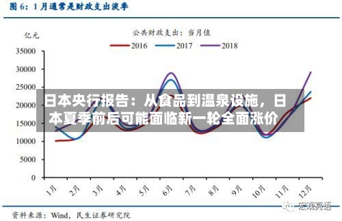 日本央行报告：从食品到温泉设施，日本夏季前后可能面临新一轮全面涨价-第3张图片
