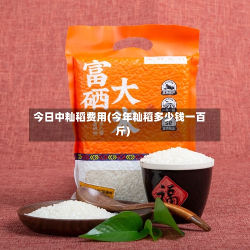 今日中籼稻费用(今年籼稻多少钱一百斤)-第2张图片