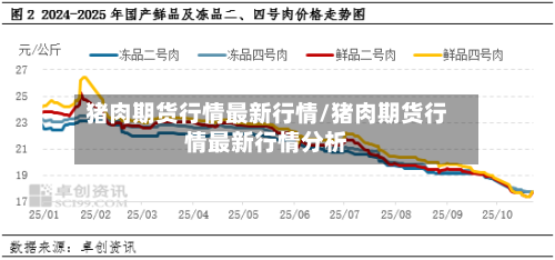 猪肉期货行情最新行情/猪肉期货行情最新行情分析