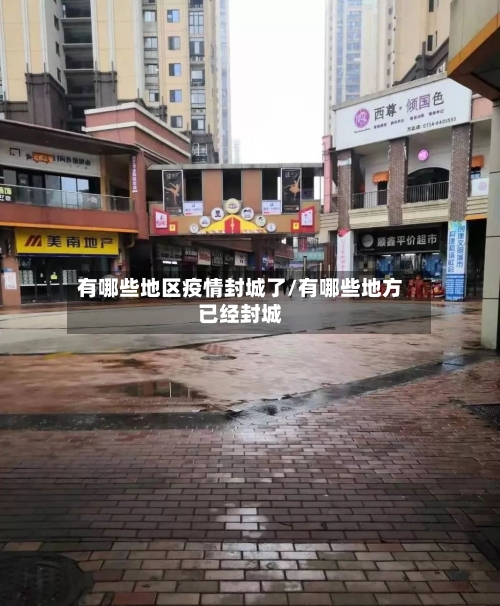有哪些地区疫情封城了/有哪些地方已经封城-第2张图片