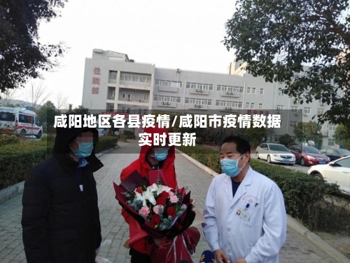 咸阳地区各县疫情/咸阳市疫情数据实时更新-第3张图片