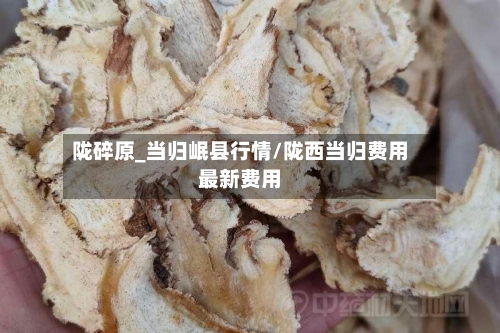 陇碎原_当归岷县行情/陇西当归费用最新费用